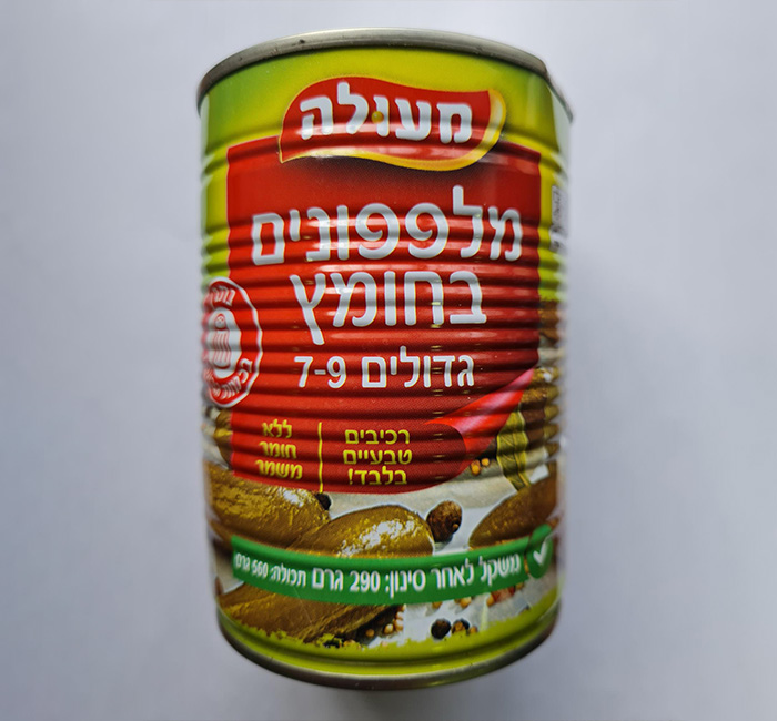 מלפפון חמוץ